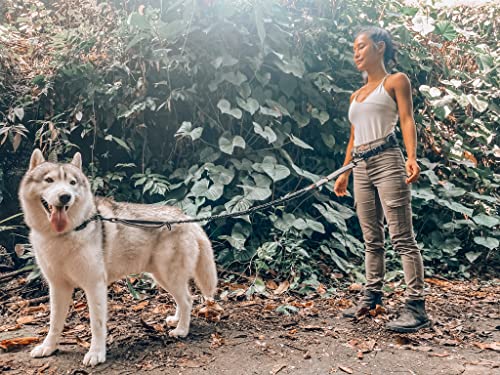 Tuff Pupper Heavy Duty Hands Free Dog Leash | One Large Dog Up to 125 lbs | Comfortable Shock Absorbing Bungee | Reflective Padded Handles | Lumbar Waist Belt 28-50" | Walking Jogging Running Leash