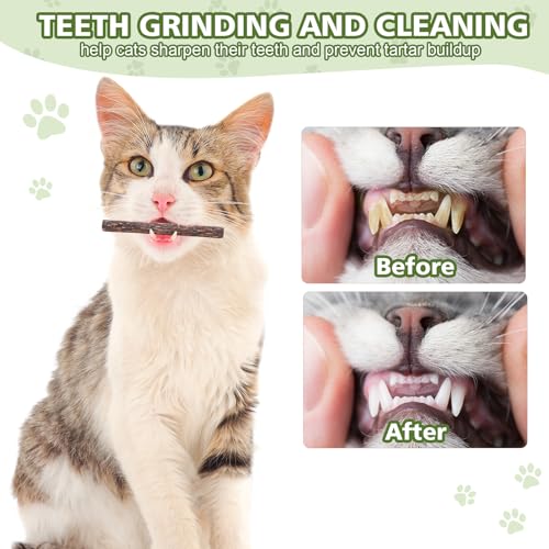 WOUSEDO 6 Pack Silvervine Sticks Cat Toy, Natural Chew Stick for Dental Care Teeth Cleaning,Matatabi Cat nip Treat Toys for Indoor Cats& Kittens