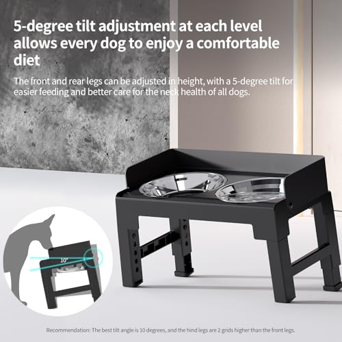 PAKEWAY Elevated Dog Bowls, Spill Proof, Tiltable Dog Feeder with 2 Stainless Steel Bowls, 6 Height Adjustable Raised Bowl