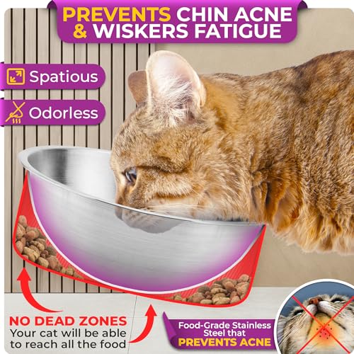 Raised cat Bowls for Indoor Cats by WinTruffles, Elevated cat Bowls, Tilted and Elevated Anti Vomiting Cat Dishes for Food and Water, Set of 2 Stainless Steel Bowl