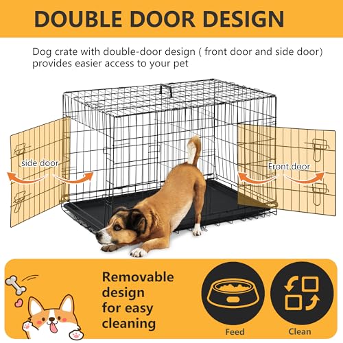 FDW Dog Crate Dog Kennel Cage with Double Door,36 inch Folding Metal Wire Dog Cage with Removable Tray&Divider Panel,Pet Crate for Medium Dogs,Black