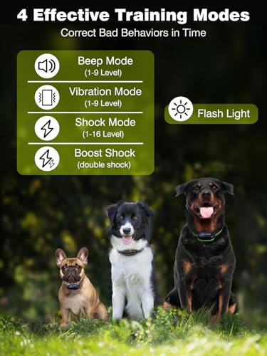 3 Dogs Shock Collar with Remote 3 Pack-3300FT Dog Training Collar with Fashlight, IPX7 E Collar with Double Shock for Small Medium Large Dogs(5-150lbs)-4 Training Modes, Adjustable Strap, Rechargeable