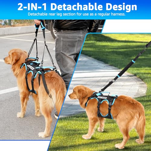 Lafoty Dog Lift Harness for Large Male Dogs, 2-in-1 Detachable Support Harness, Full Body Carrying with 4 Handles, Dog Sling for Large Dogs Hind Leg Support(Black, X-Large)