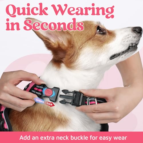 rabbitgoo Dog Harness for Large Dogs, 3 Buckles Easy On & Off No Pull Pet Vest, Soft Padded Walking Pet Harness with Control Handle, Adjustable and Reflective, Pink, L
