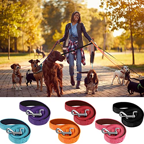 Perthlin 6 Pieces Dog Leash Bulk for Medium and Large Dog, Heavy Duty Nylon Pack Dogs Leashes Padded Handle Double Sided Reflective Puppy Collar for Walking, Training, 5 Feet(Classic)