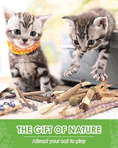 TINDTOP Catnip Chew Toys for Cats, 12 Pack Natural Silvervine Sticks for Kittens Teeth Cleaning, Matatabi Dental Care, Increase Appetite, Calm Cat Anxiety and Stress, Aggressive Chewers Cat Dental Toy