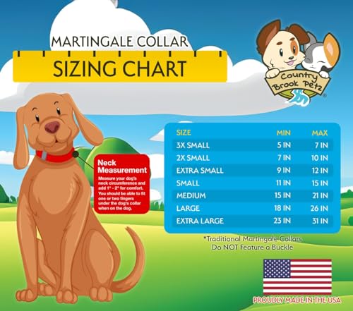 Country Brook Petz - Martingale Dog Collar - Heavy-Duty Training Collar with No Buckle - Service Dog Collar for All Pups - 20 Vibrant Colors (Black, 1 Inch, Medium)