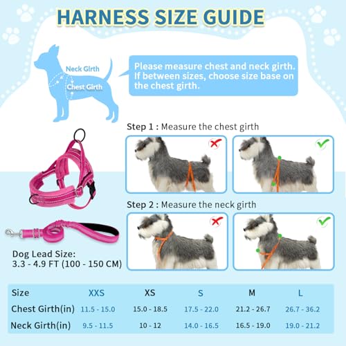 SlowTon No Pull Small Dog Harness and Leash Set, Puppy Soft Vest Harness Neck & Chest Adjustable, Reflective Lightweight Harness & Anti-Twist Pet Lead Combo for Small Medium Dogs (Fuchsia, XS)