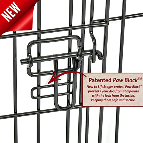 MidWest Homes for Pets Intermediate LifeStages Double Door 36-Inch Folding Dog Crate, Enhanced Security, Includes Leak-Proof Pan, Divider Panel, Handle, Rubber Feet