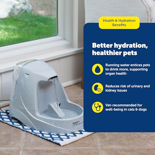 PetSafe Drinkwell Platinum Cat Water Fountain - Pet Fountain for All Pet Sizes, Encourages More Drinking, Includes Replaceable Carbon Filter, Indoor Use, Grey (168 oz/5L)