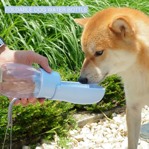 AVELORA Foldable Dog Water Bottle, Portable Water Dispenser for Cat, Rabbit, Puppy and Small Animals, the Perfect Dog Gifts and Dishwasher Safe Pet Accessories for Walking, Hiking, Travel