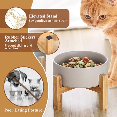 Elevated Ceramic Cat Bowl - Cat Food Bowl with Bamboo Stand - Raised Dog Dish for Puppies - Anti Vomiting, Stress Free - 13.5 oz / 400 ml - White