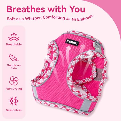 Petank Dog Harness for Small Medium Dogs No Pull, Puppy Harness and Leash Set, Step in Dog Harness for Walking, Running, Training, Small Dog Vest(Purple, S)