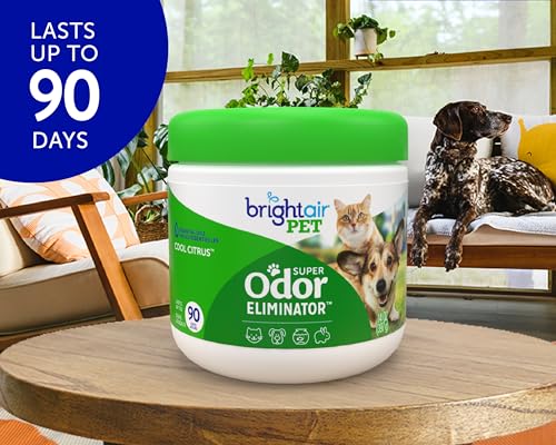 Bright Air 14 oz. Super Odor Eliminator, for Medium-Size Spaces, Cool Citrus Scent, Case of 6, Air Freshener, Natural Essential Oils, Lasts Up to 90 Days Each