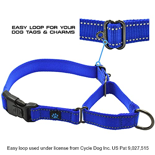 Max and Neo Nylon Martingale Collar - We Donate to a Dog Rescue for Every Collar Sold (Large, Teal)