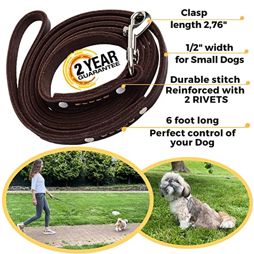 ADITYNA - Premium Leather Dog Leash - 6 ft, Heavy-Duty, Soft & Strong for Small/Medium Dogs - Perfect for Walking, Training, Hiking, and Running (Small: 6 ft x 1/2", Brown)
