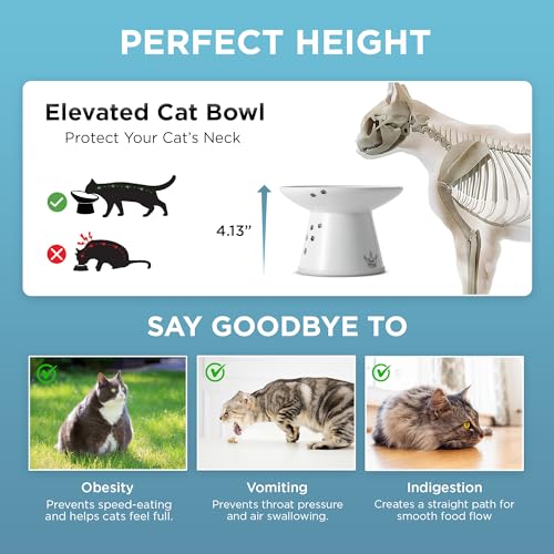 Necoichi Elevated Cat Food Bowl, Ceramic (Porcelain), Whisker-Friendly, Dishwasher & Microwave Safe, Non-Slip Silicone Base, Anti-Vomiting & Neck Fatigue (Cats, Extra Wide, 2-Cups Capacity)
