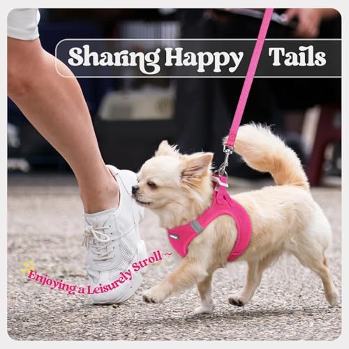 rabbitgoo Dog Harness Small Sized and Leash Set, Step in Soft Light Puppy Vest, Breathable Mesh Pet Harness, Reflective for Safe Easy Walking, Rose Red S