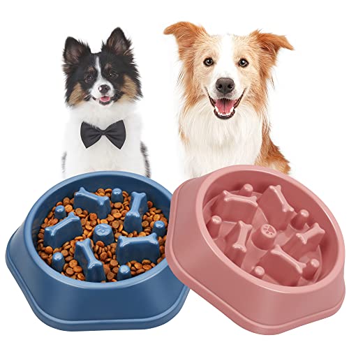 UPSKY 2PCS Slow Feeder Dog Bowl Anti-Chocking Slower Feeding Dog Puzzle Bowls, Interactive Bloat Stop Dogs Food Bowl Dishes Non-Slide Lick Treat Bowl for Small Medium Dogs (Blue+Pink)