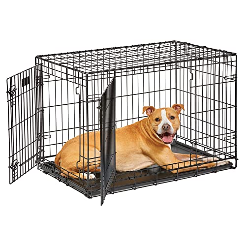 MidWest Homes for Pets Intermediate LifeStages Double Door 36-Inch Folding Dog Crate, Enhanced Security, Includes Leak-Proof Pan, Divider Panel, Handle, Rubber Feet