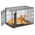 MidWest Homes for Pets Intermediate LifeStages Double Door 36-Inch Folding Dog Crate, Enhanced Security, Includes Leak-Proof Pan, Divider Panel, Handle, Rubber Feet