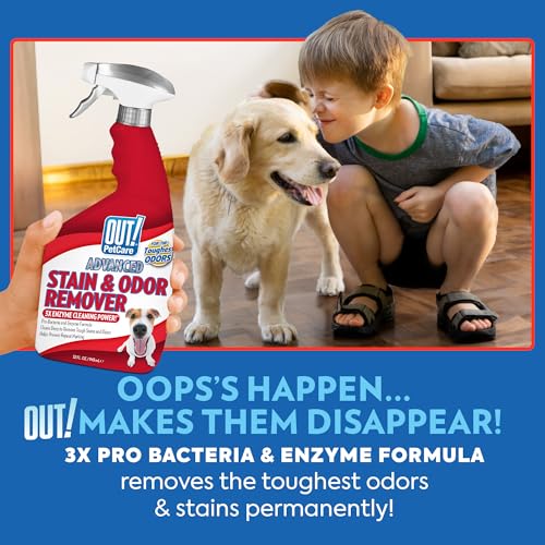 OUT! PetCare Pet Odor & Stain Remover Spray, Carpet & Floor Cleaner, Deodorizer for Dogs & Cats, Made in USA, 32 fl oz (2 Pack)