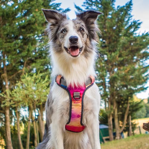 Embark Adventure Dog Harness, Reflective Trim No Pull Dog Harness for Large Dogs - Military Grade Nylon, Front Clip with Gel Lined Handle. Soft & Padded Puppy