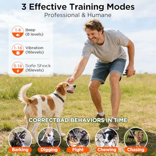 Dog Shock Collar 2 Dogs, 3300ft Dog Training Collar with Remote, Real-time Dual-Channel Remote with 3 Training Modes, Beep, Vibration, Safety Shock, Light, Fits 8-120 lbs All Breeds Sizes - Orange