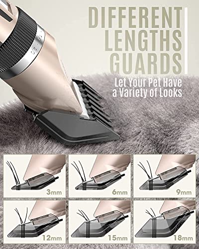 oneisall Dog Clippers Low Noise, Dog Grooming Kit with Rechargeable, Pet Shaver Cordless Electric Quiet Hair Clipper Set for Dogs Cats Pets（Gold）