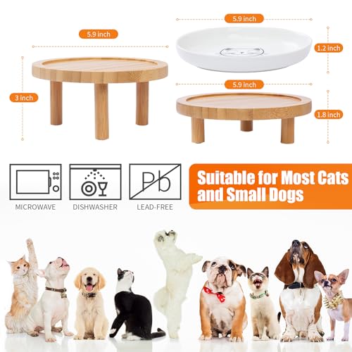 Lusifaco Shallow Elevated Cat Bowls,5.9 Inch Wide Raised Ceramic Cat Dishes with Bamboo Stand, Whisker Friendly Pet Water or Food Plates Feeding Station for Indoor Cats, Kitten(White,Set of 2)