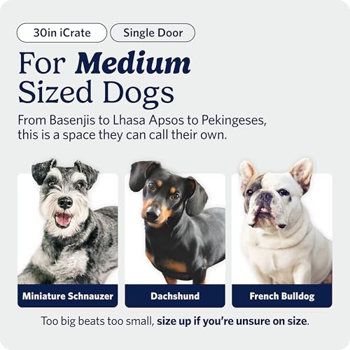 MidWest Homes for Pets 30-Inch iCrate for Medium Breeds, 21-40 lbs, Single Door Folding Dog Crate with Divider Panel, Leak-Proof Tray & Secure Latch, Portable, Durable & Easy to Assemble