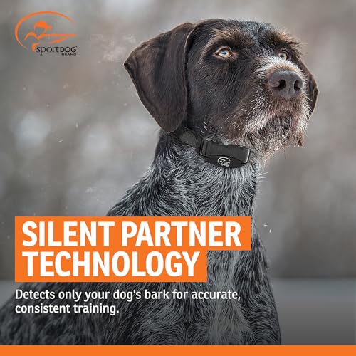 SportDOG NoBark 10 Bark Control Collar - Silent Partner Technology Detects Only Your Dog's Bark, 10 Static Levels, 2 Training Modes, Rechargeable 200-Hr Battery, Waterproof, Dogs 8 lb+