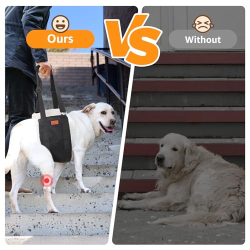 Adjustable Dog Lift Harness Dog Sling for Large Dogs Hind Leg Support Soft Lift Support and Rehab Harness for Weak Rear Legs, Helps Senior, Injured, Disabled and After ACL Surgery Dogs Large