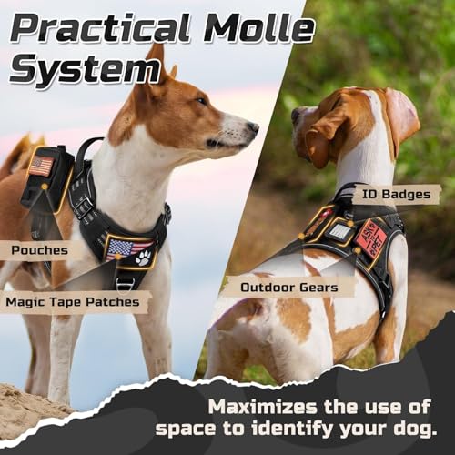 rabbitgoo Tactical Dog Harness for Large Dogs, No Pull Military Service Vest with Handle & Molle, Easy Control for Training Walking, Adjustable Reflective Straps, Black, L