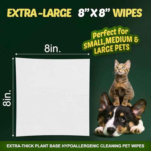 Petazy Pet Wipes for Dogs and Cats – 400 Count (8x8in) Hypoallergenic, Deodorizing Dog Wipes for Paws, Ears and Butt | XL with Aloe & Coconut Oil, Lavender Scented | Includes 4 Grooming Glove Wipes