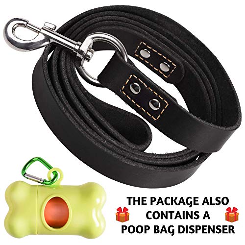 ADITYNA Leather Dog Leash 6 ft x 3/4 inch - Soft, Strong, Heavy Duty for Large & Medium Breeds - Dog Lead for Walking, Training, Hiking and Running (Black)