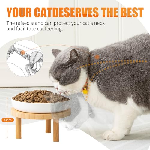 Lusifaco Shallow Elevated Cat Bowls,5.9 Inch Wide Raised Ceramic Cat Dishes with Bamboo Stand, Whisker Friendly Pet Water or Food Plates Feeding Station for Indoor Cats, Kitten(White,Set of 2)