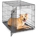 MidWest Homes for Pets 36-Inch iCrate for Medium-Large Breeds, 41-70 lbs, Single Door Folding Dog Crate with Divider Panel, Leak-Proof Tray & Secure Latches, Portable, Durable & Easy to Assemble