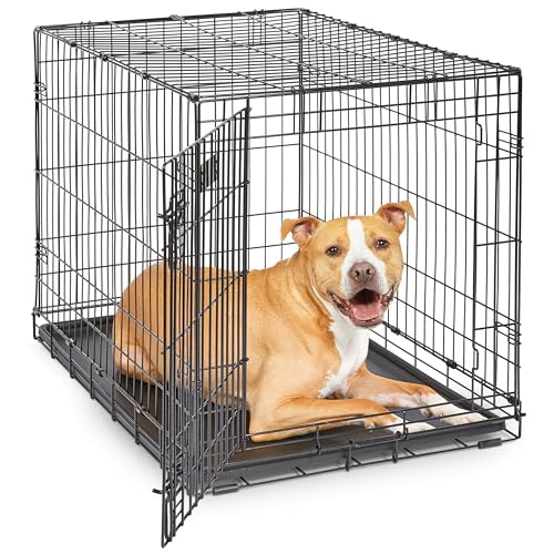 MidWest Homes for Pets 36-Inch iCrate for Medium-Large Breeds, 41-70 lbs, Single Door Folding Dog Crate with Divider Panel, Leak-Proof Tray & Secure Latches, Portable, Durable & Easy to Assemble