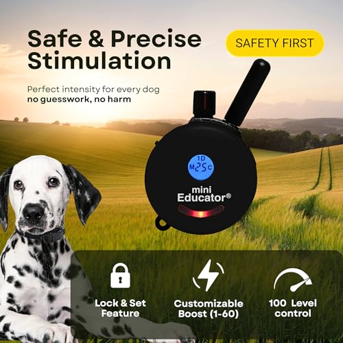 Mini Educator E-Collar ET-300 / ET-302 Dog Training Collar System with Remote - 1/2 Mile Range - Waterproof, Vibration, Sensation - Includes eOutletDeals Pet Towel (1 Dog System - ET-300 Black)