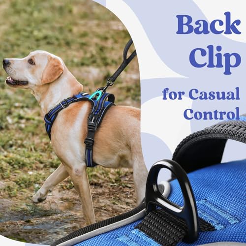 rabbitgoo Dog Harness for Large, No Pull Easy On & Off with 3 Buckles Pet Harness, Adjustable Soft Walking Vest with 2 Clips and Handle, Reflective for Large Dogs, Blue, L