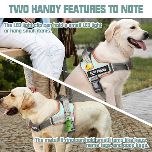 AUROTH Dog Harness and Leash Set, Soft Padded Service Dog Vest with 5.25FT Dog Leash, No Choke, Easy On Pet Vest, Adjustable Reflective No Pull Pet Vest Medium Sized Dog, Easy Walking and Training