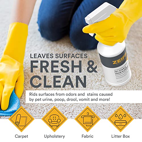 Zeiff Pet Stain and Odor Remover - Pet Odor Eliminator for Home and Professional Use - Carpet Stain Remover - Pet Urine Enzyme Cleaner for Dog and Cat Pee, Feces, and Fluids - 1 Gallon
