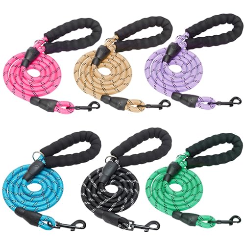 BEAUTYZOO Heavy Duty Rope Dog Leash 6 Pack, 6FT Nylon Pet Leash with Reflective Thread, Soft Padded Handle Thick Lead Leash for Large Medium Dogs Small Puppy,3/8inch X 5 FT (18~120 lbs)