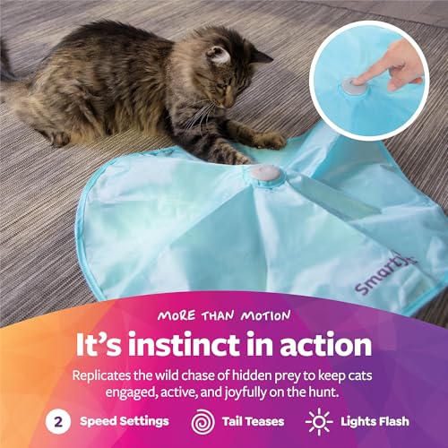 SmartyKat Hot Pursuit Electronic Concealed Motion Cat Toy, Unpredictable Erratic Movement Mimics Prey for Active Hunting for Cats & Kittens, Battery Powered