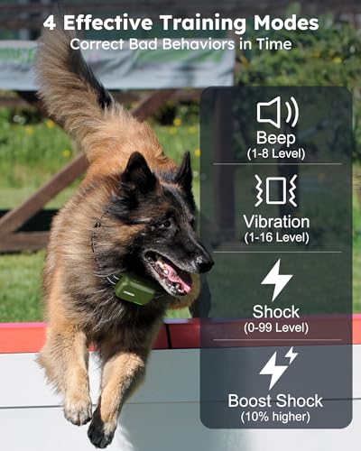 Dog Shock Collar 2 Dogs (10-120Lbs) - 4200FT Dog Training Collar with Remote IPX7 Waterproof Electric Collar with 4 Training Modes, Security Lock, Rechargeable e-Collar for All Breeds, Sizes