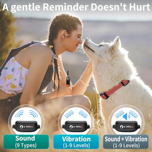 PaiPaitek Dog Vibration Collar with Controller for 2 Dogs No Shock, 9 Types of Beeps and Vibrations, 3300ft Range & Upgraded Waterproof Training Collar for Dogs 5-120lbs - No Prongs