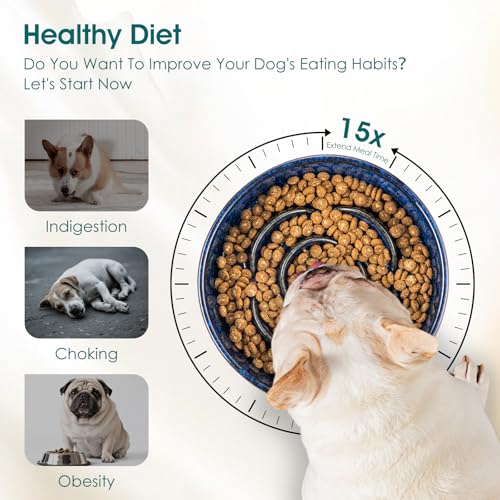 vancasso Slow Feeder Dog Bowl, 0.6 Cups Ceramic Dog Food Dish for Fast Eaters Small Breed, Puzzle Bowl for Small Dogs and Cats, Blue