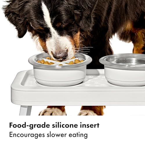 OXO Pet Easy-Clean Slow Feeder - Medium