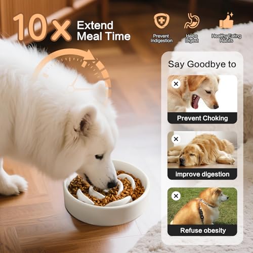 Welloyed 6'' Ceramic Slow Feeder Dog Bowls - Petal Shape Modern Dog Food Dish for Cats and Small Breed Dogs, Puzzle Maze Bowl to Slow Down Eating, Anti-Gulping, Dishwasher & Microwave Safe, White